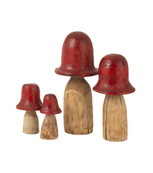 Fungo Campana
