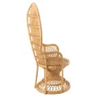 15666
