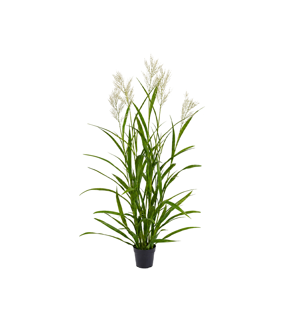 Pianta artificiale Festuca con vaso Pianta artificiale Festuca con vaso