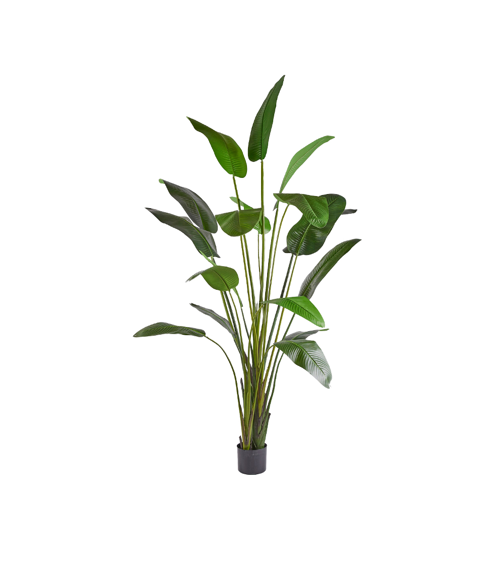 Pianta artificiale Strelitzia con vaso Pianta artificiale Strelitzia con vaso