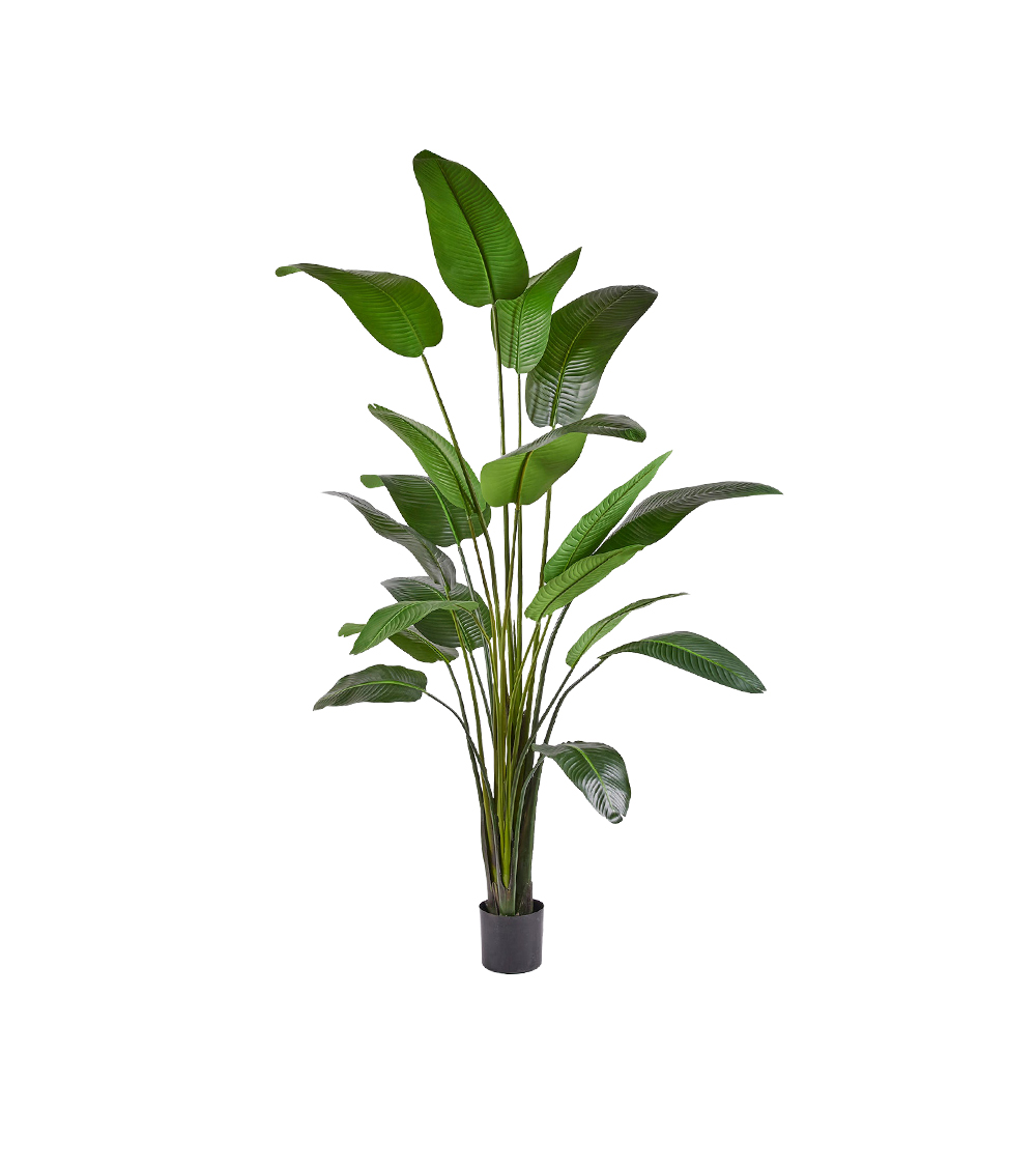 Pianta artificiale Strelitzia con vaso Pianta artificiale Strelitzia con vaso